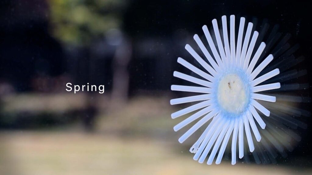 田岡 菜《4D Printed Nature》映像撮影、編集